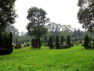 凤凰陵园草坪绿化园区实景