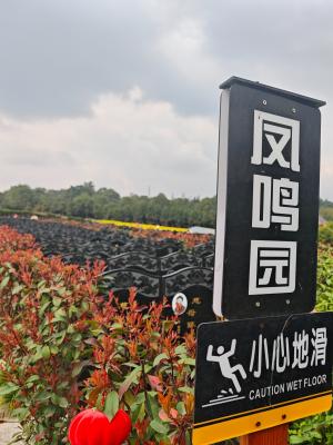 传统中式墓-凤鸣园